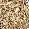 biomasa